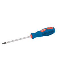 Tournevis plat - 3 x 100mm
