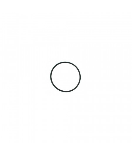 RWO Joint pour trappe 100mm