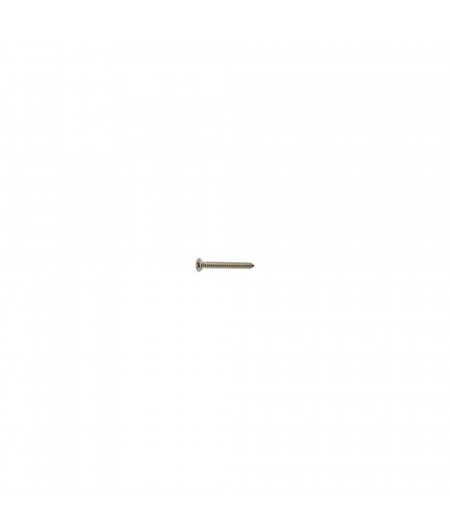 MARINOX Vis tole tête fraisee A4 3.9*19 les 15