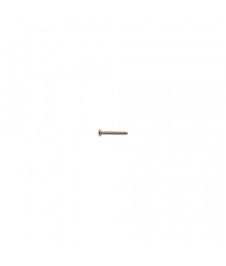 MARINOX Vis tole tête fraisee A4 4.2*16 les 15