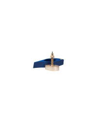 FURUNO Sonde CHIRP B275LH trav. bronze XID 1 kW