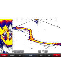 GARMIN Sonde Panoptix PS30 Down