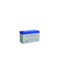 HUMMINBIRD Batterie pour kit portable