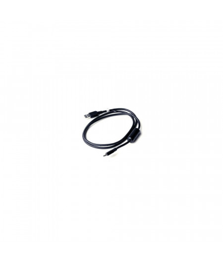 GARMIN Câble mini USB