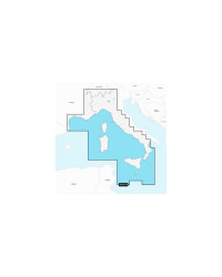 NAVIONICS+ REGULAR SD /MICRO SD NAEU012R