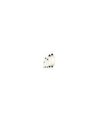DAN FENDER Pare battage haute résistance blanc/gris 25x70 cm