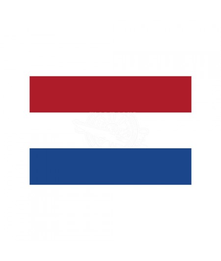 Pavillon Hollande 20 x 30 cm